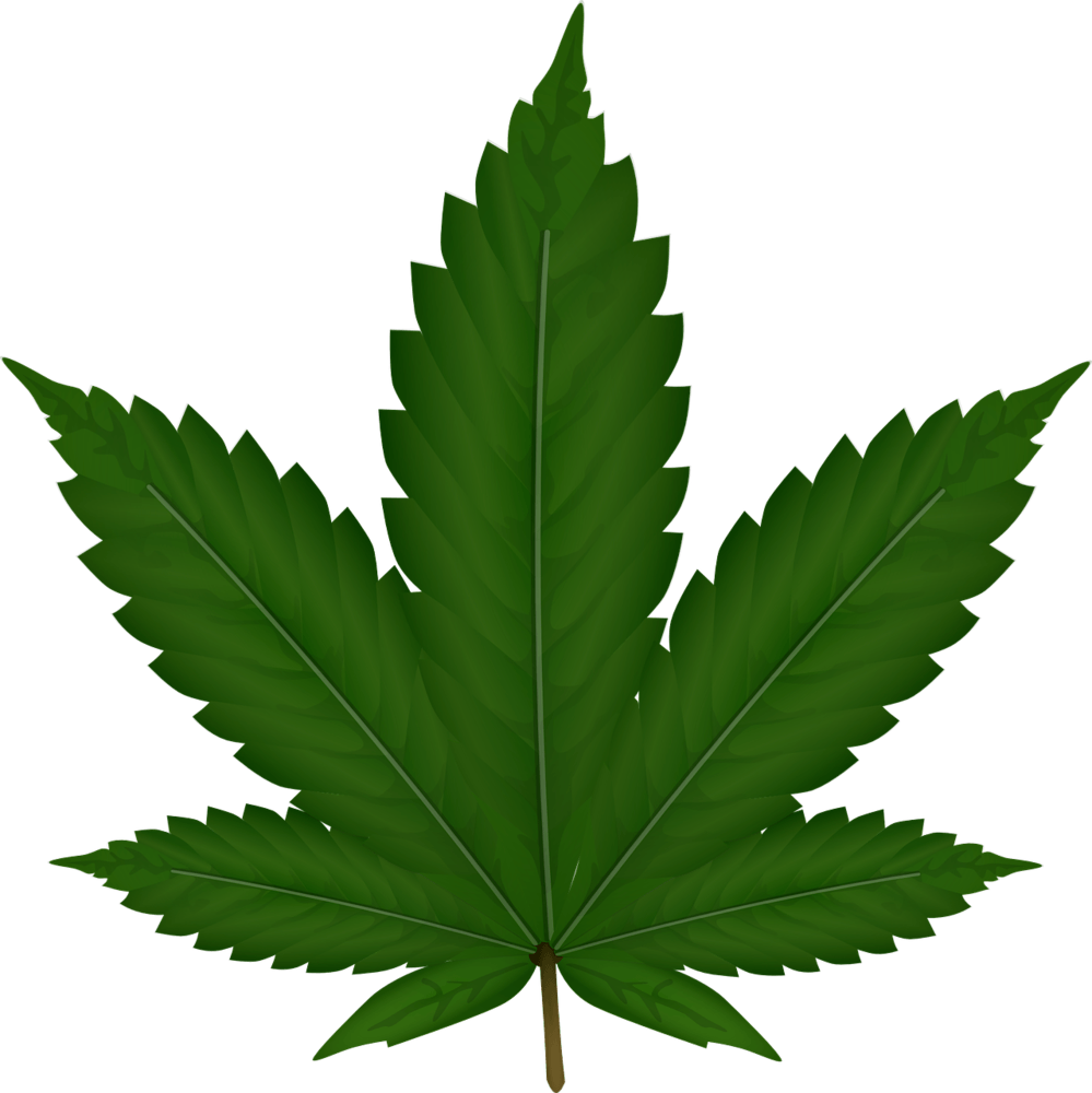 CBD og cannabisolie - virkninger og bivirkninger