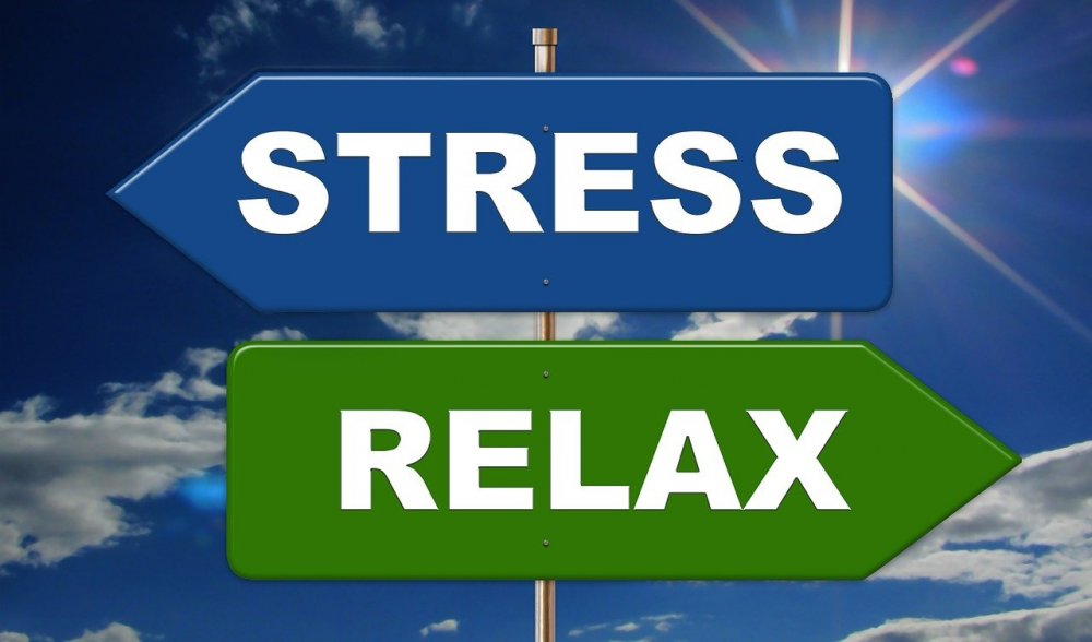 Styrk din faglige baggrund med et stresskursus